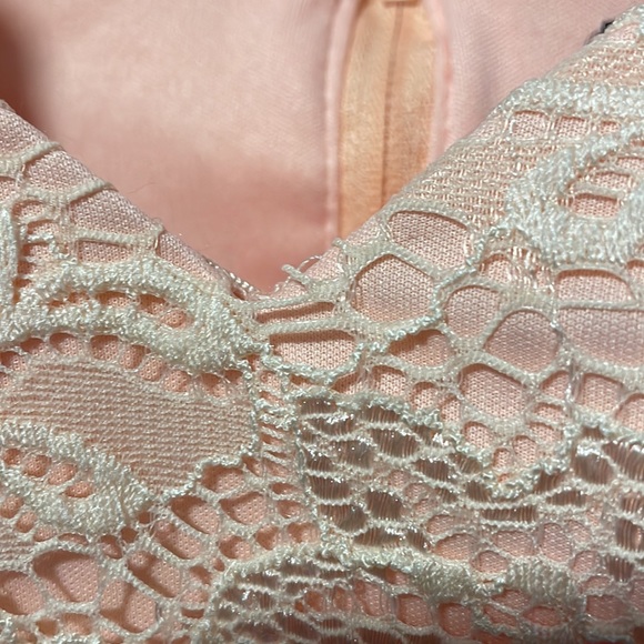 Windsor Pink Lace Strapless Dress - Picture 13 of 13